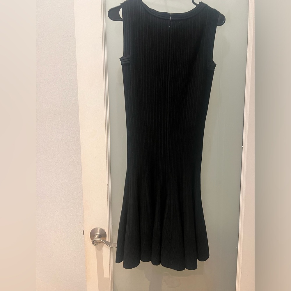 ALAIA  Skater Dress bergdorf goodman NWOT 38 Original Price $5800